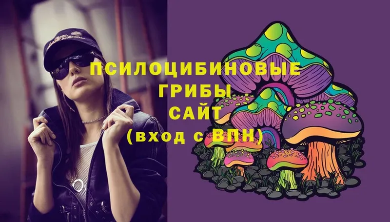 сколько стоит  Ленинск  Псилоцибиновые грибы Psilocybine cubensis 